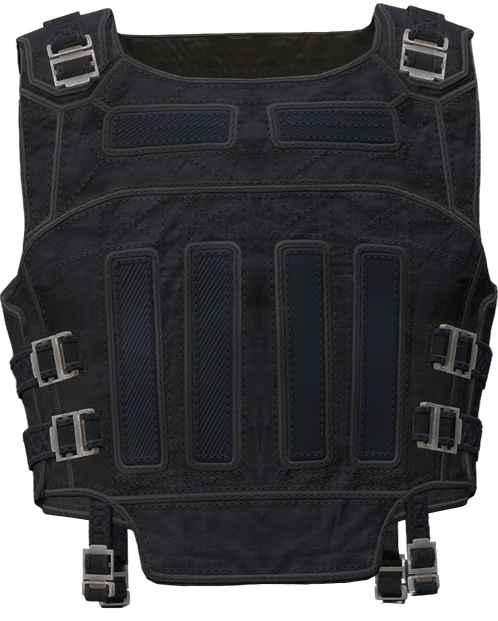 Бронежилет СПЕ 10в "Сапсан" Наёмника