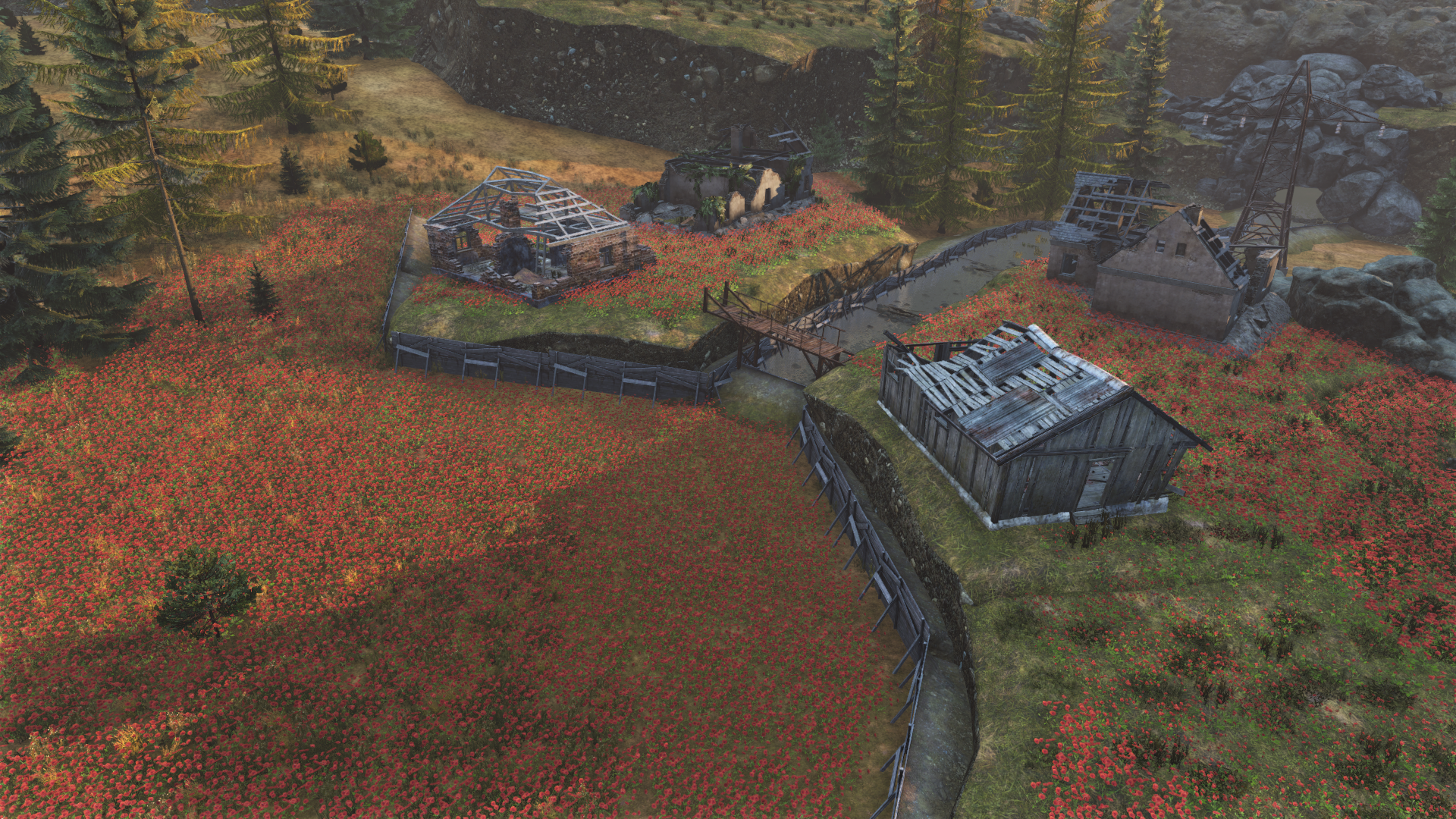 Маковое поле AOD